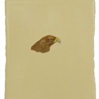 Adlerkopf, 38 x 32 cm, oil on canvas   (Neumann-Hug Collection)